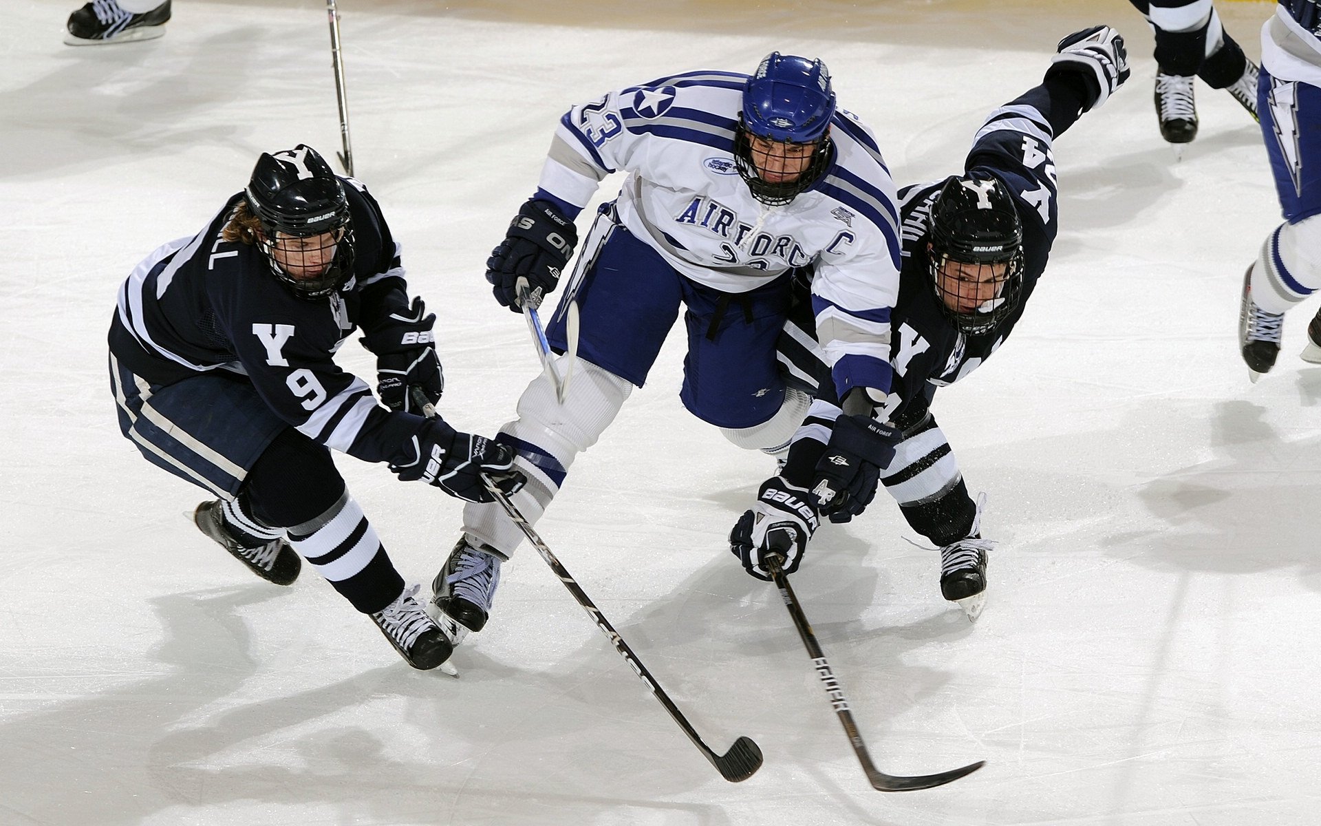 伊朗队在巴黎奥运会比赛中展现出高效的快攻配合,伊朗 奥运