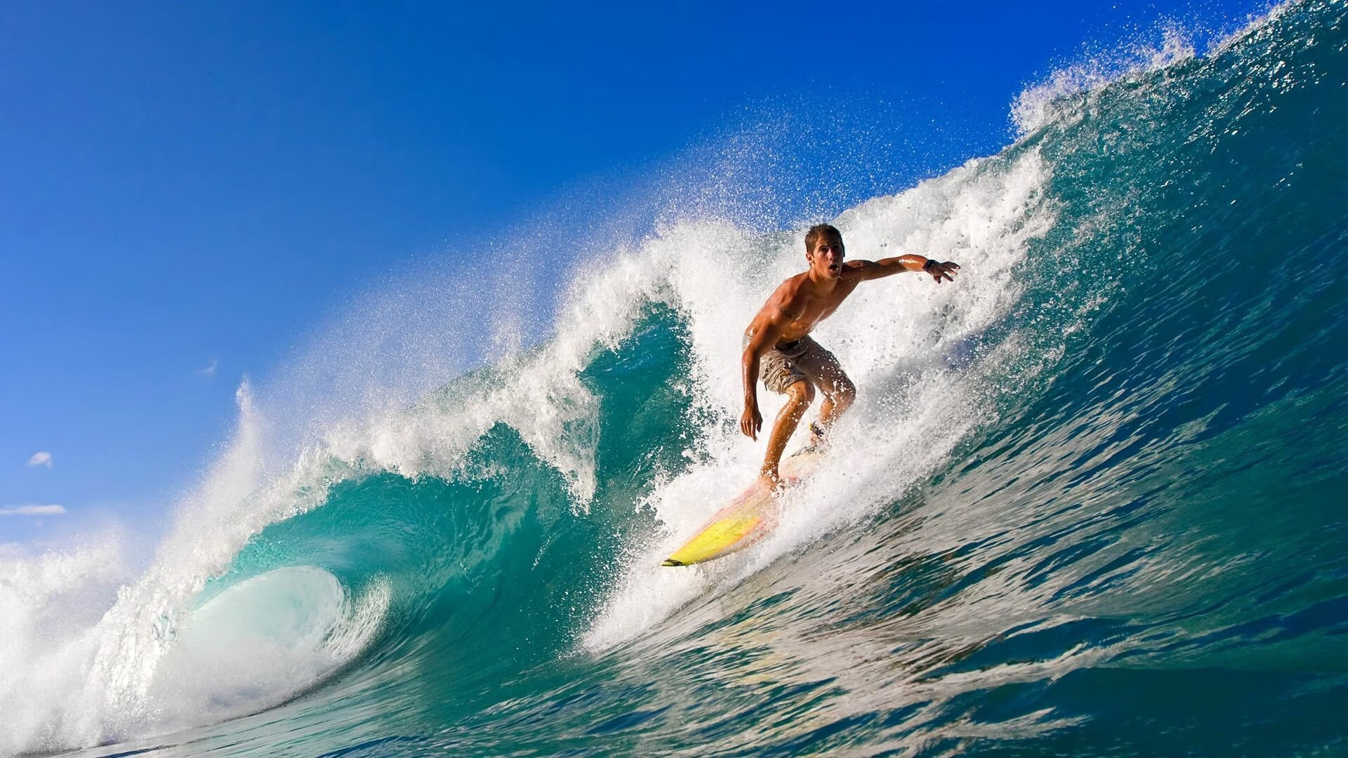 开云中国大陆-名人表演赛：娱乐与竞技的完美结合